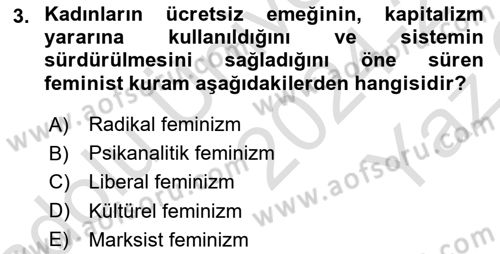 Toplumsal Cinsiyet Sosyolojisi Dersi Yaz Okulu Sınavı Deneme Sınav Soruları 3. Soru