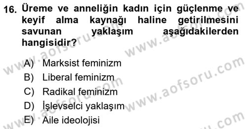 Toplumsal Cinsiyet Sosyolojisi Dersi 2025 - 2026 Yılı (Vize) Ara Sınav Soruları 16. Soru