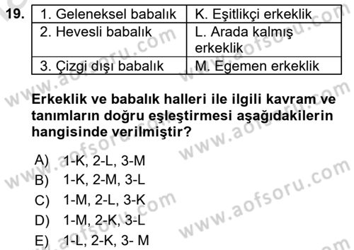 Toplumsal Cinsiyet Sosyolojisi Dersi 2025 - 2026 Yılı (Vize) Ara Sınav Soruları 19. Soru
