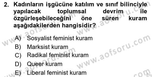 Toplumsal Cinsiyet Sosyolojisi Dersi 2025 - 2026 Yılı (Vize) Ara Sınav Soruları 2. Soru
