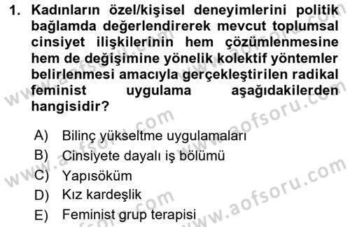 Toplumsal Cinsiyet Sosyolojisi Dersi 2025 - 2026 Yılı (Final) Dönem Sonu Sınav Soruları 1. Soru