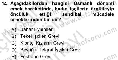 Toplumsal Cinsiyet Sosyolojisi Dersi 2025 - 2026 Yılı (Final) Dönem Sonu Sınav Soruları 14. Soru