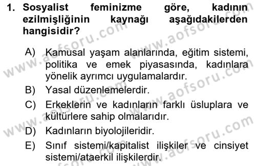 Toplumsal Cinsiyet Sosyolojisi Dersi 2025 - 2026 Yılı Yaz Okulu Sınav Soruları 1. Soru