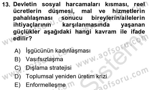 Toplumsal Cinsiyet Sosyolojisi Dersi 2025 - 2026 Yılı Yaz Okulu Sınav Soruları 13. Soru