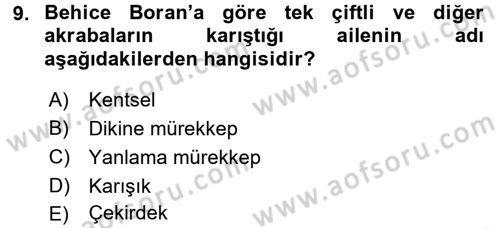 Türk Sosyologları Dersi 2016 - 2017 Yılı 3 Ders Sınav Soruları 9. Soru