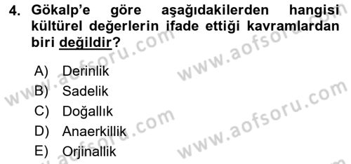 Türk Sosyologları Dersi 2018 - 2019 Yılı (Vize) Ara Sınav Soruları 4. Soru