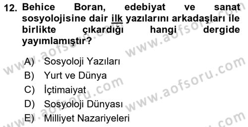 Türk Sosyologları Dersi 2024 - 2025 Yılı Yaz Okulu Sınav Soruları 12. Soru