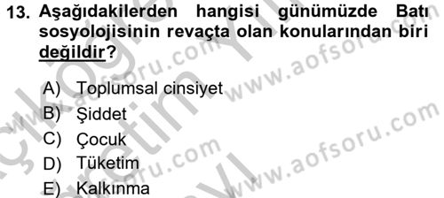 Türkiye´de Sosyoloji Dersi 2016 - 2017 Yılı 3 Ders Sınav Soruları 13. Soru