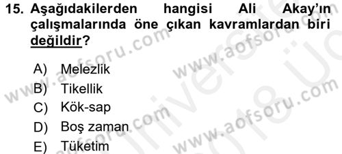 Türkiye´de Sosyoloji Dersi 2017 - 2018 Yılı 3 Ders Sınav Soruları 15. Soru