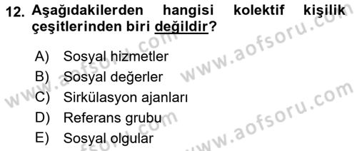 Türkiye´de Sosyoloji Dersi 2018 - 2019 Yılı (Vize) Ara Sınav Soruları 12. Soru