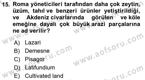 Din ve Toplum Dersi 2023 - 2024 Yılı (Vize) Ara Sınav Soruları 15. Soru