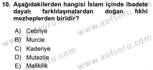 Din ve Toplum Dersi 2023 - 2024 Yılı (Final) Dönem Sonu Sınav Soruları 10. Soru