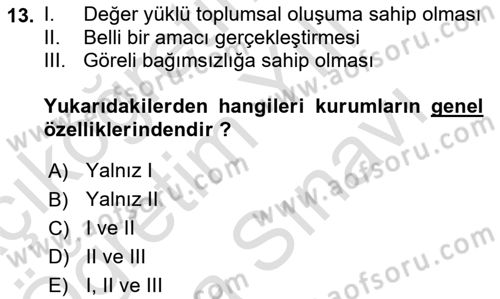 Din ve Toplum Dersi 2024 - 2025 Yılı (Vize) Ara Sınav Soruları 13. Soru