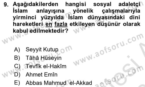 Din ve Toplum Dersi 2024 - 2025 Yılı (Vize) Ara Sınav Soruları 9. Soru