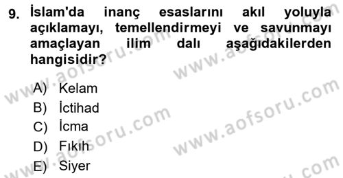 Din ve Toplum Dersi 2024 - 2025 Yılı (Final) Dönem Sonu Sınav Soruları 9. Soru