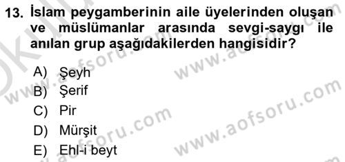 Din ve Toplum Dersi 2024 - 2025 Yılı Yaz Okulu Sınav Soruları 13. Soru