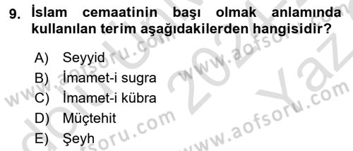 Din ve Toplum Dersi 2024 - 2025 Yılı Yaz Okulu Sınav Soruları 9. Soru