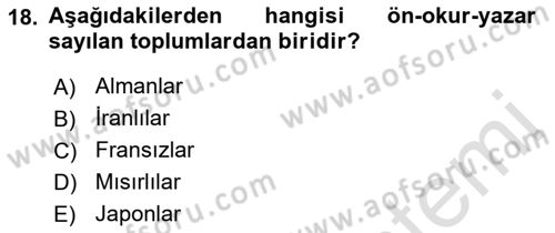 İletişim Sosyolojisi Dersi 2022 - 2023 Yılı Yaz Okulu Sınavı 18. Soru