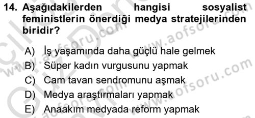İletişim Sosyolojisi Dersi Ara Sınavı Deneme Sınav Soruları 14. Soru