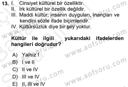 Medya Sosyolojisi Dersi 2017 - 2018 Yılı (Final) Dönem Sonu Sınav Soruları 13. Soru