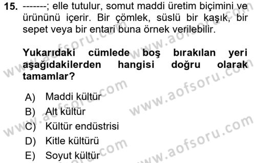 Medya Sosyolojisi Dersi 2017 - 2018 Yılı (Final) Dönem Sonu Sınav Soruları 15. Soru