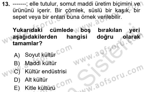 Medya Sosyolojisi Dersi 2018 - 2019 Yılı 3 Ders Sınavı 13. Soru