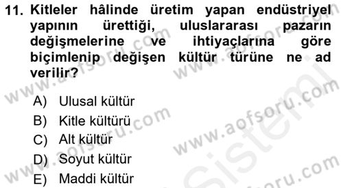Medya Sosyolojisi Dersi 2018 - 2019 Yılı (Final) Dönem Sonu Sınav Soruları 11. Soru