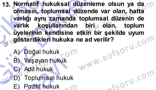 Hukuk Sosyolojisi Dersi Ara Sınavı Deneme Sınav Soruları 13. Soru