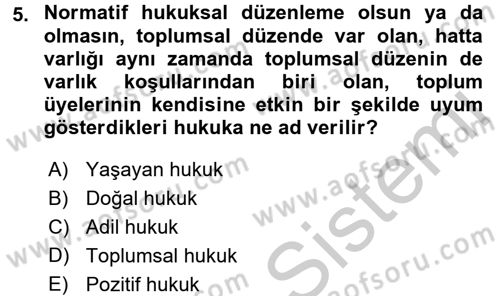 Hukuk Sosyolojisi Dersi 2016 - 2017 Yılı 3 Ders Sınav Soruları 5. Soru