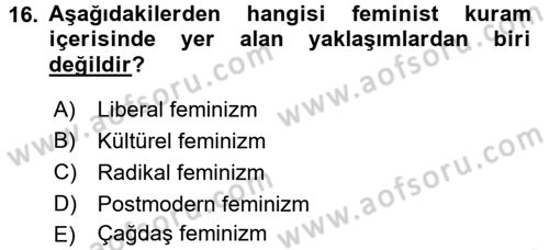 Hukuk Sosyolojisi Dersi 2016 - 2017 Yılı (Final) Dönem Sonu Sınav Soruları 16. Soru