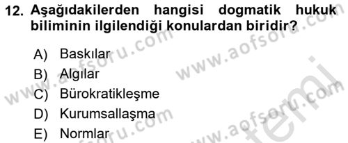 Hukuk Sosyolojisi Dersi 2018 - 2019 Yılı 3 Ders Sınav Soruları 12. Soru