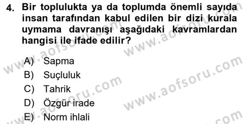 Hukuk Sosyolojisi Dersi 2018 - 2019 Yılı 3 Ders Sınav Soruları 4. Soru