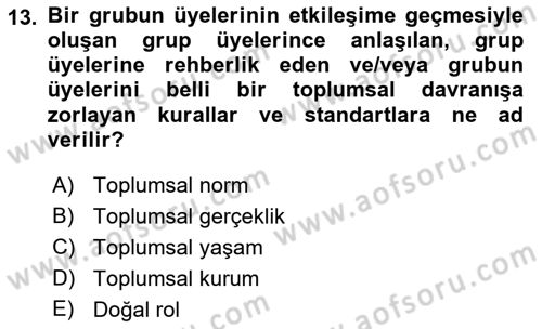 Hukuk Sosyolojisi Dersi 2018 - 2019 Yılı Yaz Okulu Sınav Soruları 13. Soru