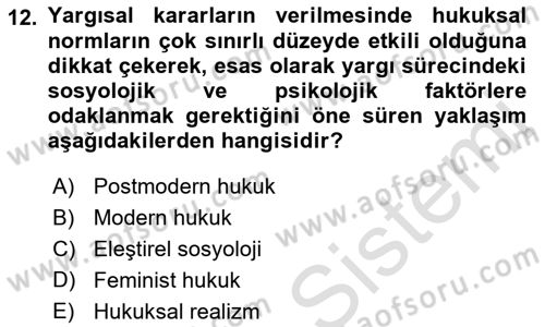 Hukuk Sosyolojisi Dersi 2021 - 2022 Yılı (Vize) Ara Sınav Soruları 12. Soru