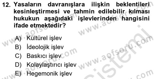 Hukuk Sosyolojisi Dersi 2022 - 2023 Yılı Yaz Okulu Sınav Soruları 12. Soru