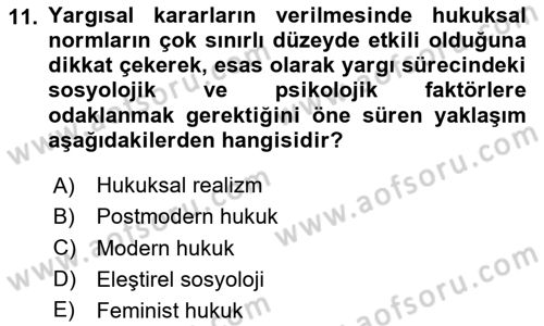 Hukuk Sosyolojisi Dersi 2024 - 2025 Yılı (Vize) Ara Sınav Soruları 11. Soru