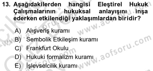 Hukuk Sosyolojisi Dersi 2024 - 2025 Yılı (Vize) Ara Sınav Soruları 13. Soru