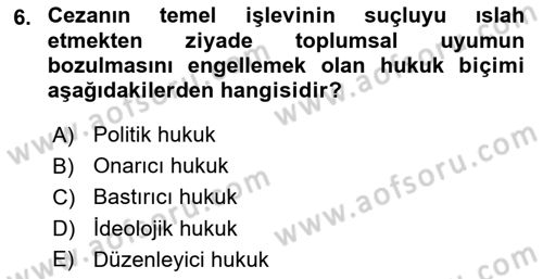 Hukuk Sosyolojisi Dersi 2024 - 2025 Yılı Yaz Okulu Sınav Soruları 6. Soru