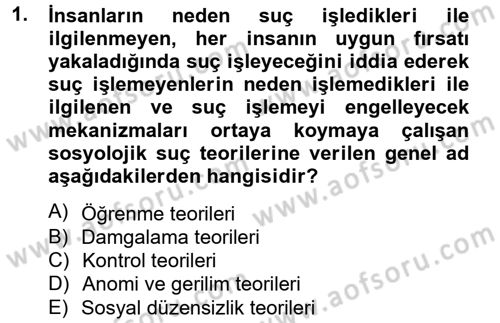 Suç Sosyolojisi Dersi 2012 - 2013 Yılı (Vize) Ara Sınav Soruları 1. Soru