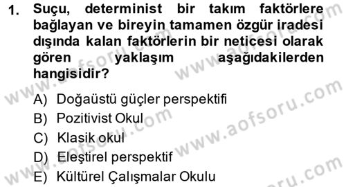 Suç Sosyolojisi Dersi 2013 - 2014 Yılı (Vize) Ara Sınav Soruları 1. Soru