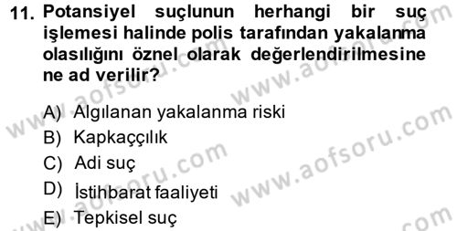 Suç Sosyolojisi Dersi 2013 - 2014 Yılı Tek Ders Sınav Soruları 11. Soru