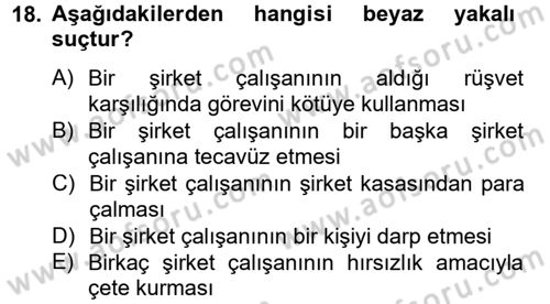 Suç Sosyolojisi Dersi 2013 - 2014 Yılı Tek Ders Sınav Soruları 18. Soru