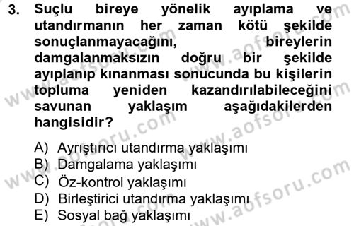 Suç Sosyolojisi Dersi 2013 - 2014 Yılı Tek Ders Sınav Soruları 3. Soru