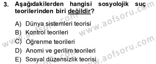 Suç Sosyolojisi Dersi 2014 - 2015 Yılı (Vize) Ara Sınav Soruları 3. Soru