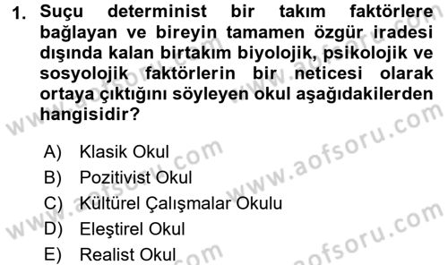 Suç Sosyolojisi Dersi 2015 - 2016 Yılı (Final) Dönem Sonu Sınav Soruları 1. Soru