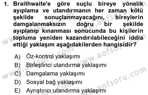 Suç Sosyolojisi Dersi 2015 - 2016 Yılı Tek Ders Sınav Soruları 1. Soru