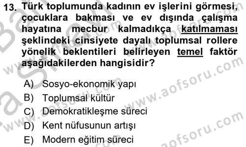Suç Sosyolojisi Dersi 2016 - 2017 Yılı (Vize) Ara Sınav Soruları 13. Soru