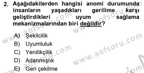 Suç Sosyolojisi Dersi 2016 - 2017 Yılı (Vize) Ara Sınav Soruları 2. Soru