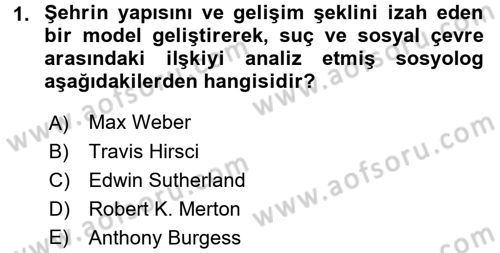 Suç Sosyolojisi Dersi 2016 - 2017 Yılı (Final) Dönem Sonu Sınav Soruları 1. Soru