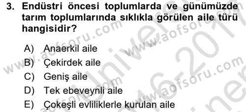 Suç Sosyolojisi Dersi 2016 - 2017 Yılı (Final) Dönem Sonu Sınav Soruları 3. Soru